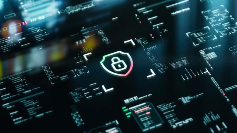 加查县软件开发公司